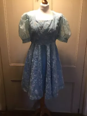 Genuine Vintage 1950s Nylon Chiffon Flocked Floral Babydoll Dress Pale Blue • £50