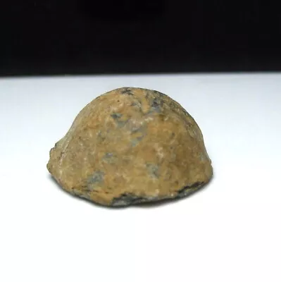 Antietam Civil War Relic Dug Mansfield Road Mumma Farm Fired Sheared Musket Ball • $22.99