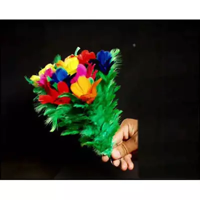 £19.43 • Buy Sleeve Bouquet 10 Flowers By Uday - Trick