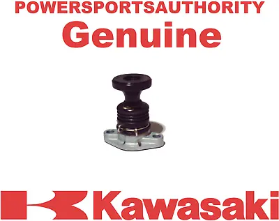 $34.23 • Buy 1993-2012 Kawasaki Bayou 400 Prairie 360 Prairie 400 OEM Primer Pump 16146-1129