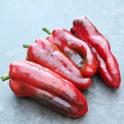 20 Fresh Sweet Marconi Red Premium Pepper Seeds-A 47 • $2.80