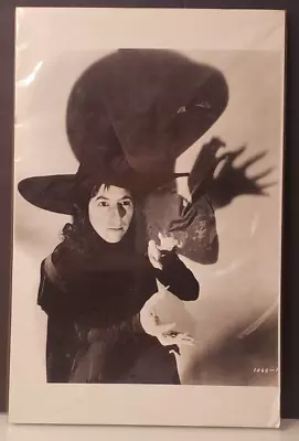 Wicked Witch The Wizard Of Oz Photo Picture Margaret Hamilton 11x14 On Cardstock • $14.95