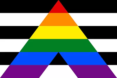 Straight Ally 5ft X 3ft Flag Gay Pride Rainbow Festival Flags LGBT Equality • £3.49