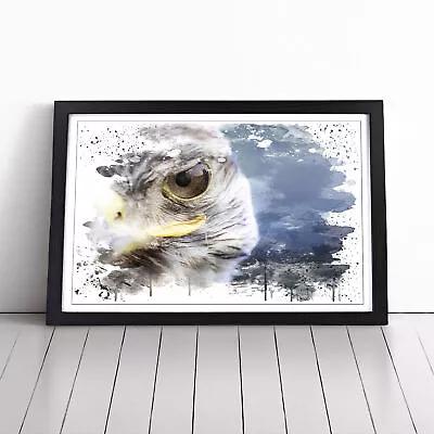 Falcon Bird (1) V3 Wall Art Print Framed Canvas Picture Poster Home Decor • £28.95