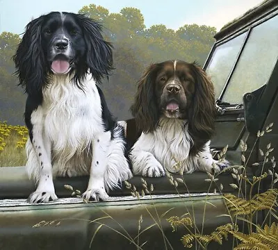 £172.50 • Buy Nigel Hemming OFF ROADERS Springer Spaniels, Art Canine Ltd Edition  #1