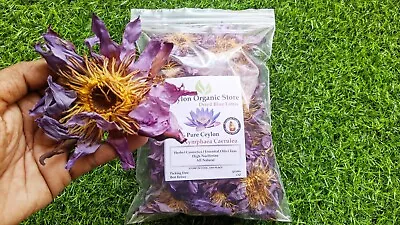 $3.55 • Buy 10g Nymphaea Caerulea Dried Blue Lotus Flower Herbal Tea Fresh Organic