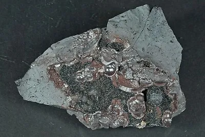 £22 • Buy Hematite Var. Specularite Mowbray Mine, Frizington, Cumbria, UK Mineral Specimen