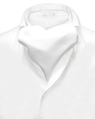 Vesuvio Napoli ASCOT Solid WHITE Color Cravat Mens Neck Tie • $14.95