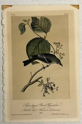 J.J. AUDUBON / J.T. BOWEN - 1840s First OCTAVO ED Short Legged Pewit Flycatcher • $129.99