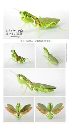 Bandai The Diversity Of Life On Earth Mantis Figure Vol 4 Giant Mantis Adult • $18