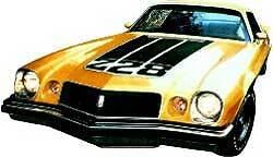 $347.79 • Buy 1974 Camaro Z28 Complete Decal Set