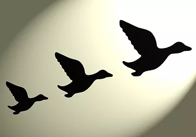 £4.69 • Buy Shabby Chic Stencil Ducks Flying Sheet Rustic A4 297x210mm Wall Birds Vintage