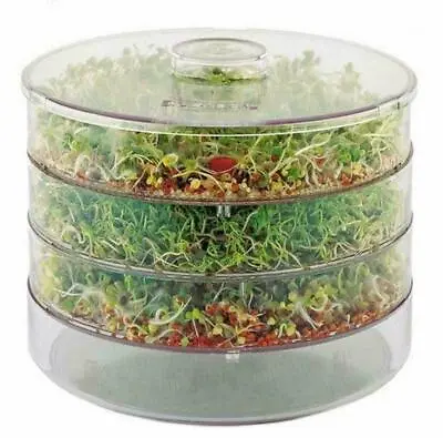 £13.95 • Buy SPROUTER Healthy SEEDS GERMINATOR Seed SPROUT Kitchen Easy To Use ( GMO Free )