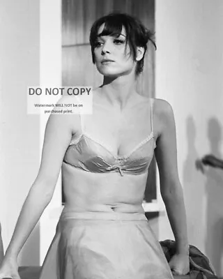 Elsa Martinelli Italian Actress And Model - 8x10 Publicity Photo (az959) • $8.87