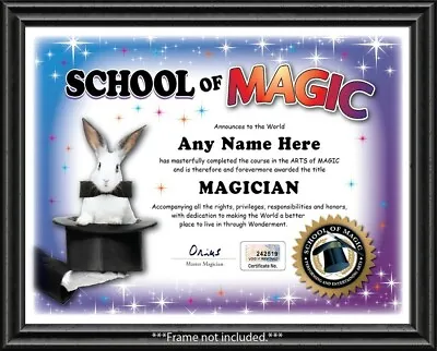 MAGIC School Personalized Certificate - Magician Kit Set Tricks XMAS CHILD GIFT • $14.99
