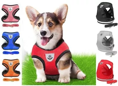 Mesh Padded Soft Puppy Pet Dog Harness Breathable Comfortable Many Colors S M L • $6.92