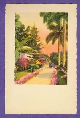 E.G. Barnhill Florida 1940s Art Print Card Orig HOT PINK Color Palm Sidewalk FL • $1.75