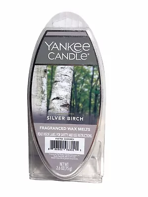 $5 • Buy NEW Yankee Candle SILVER BIRCH Fragranced Wax Melts ( 2.6 Oz, 6 Cubes )