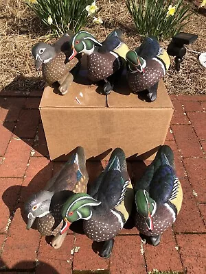 Avian X Top Flight Wood Duck Decoys • $70