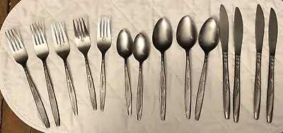 VTG  Ecko Eterna Mixed Lot 14 Stainless Serenity Flatware Forks Spoons & Knives • $9.88