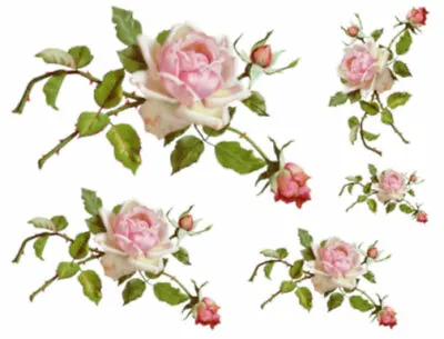 Vintage Image Victorian Stem Pink Roses Shabby Furniture Waterslide Decals FL459 • $12.99