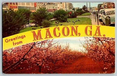 VTG 1950s GA Banner Greetings From Macon Georgia Postcards Third St Peach Trees  • $5.45