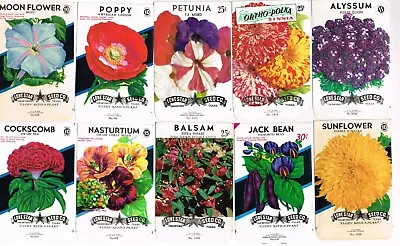 10 Diff Vintage Seed Packet Lot Nos 1950s Flowers Garden Texas General Store #8c • £9.45