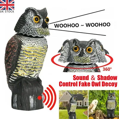 360°Rotating Real Owl Decoy Deterrent Head Sound Bird Pigeon Crow Scarer Statue • £18.66