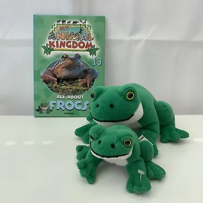 My Animal Kingdom: All About Frogs 2 Toys Hardcover Book Included • £12.99