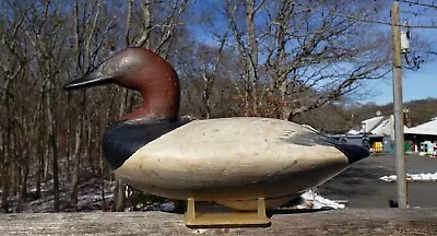 CA 1910-20's CANVASBACK DECOY HENRY DAVIS PERRYVILLE MD. EXLT PAINT? MITCHELL • $260