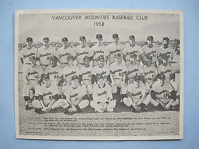 Rare 1958 Vancouver Mounties Pcl Baseball Club Team Photo Card Nice • $99.99