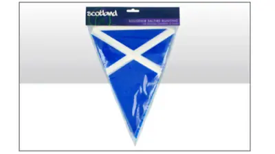 Scottish Scotland Flag Triangle Bunting Flags Saltire Blue Football Rugby Banner • £3