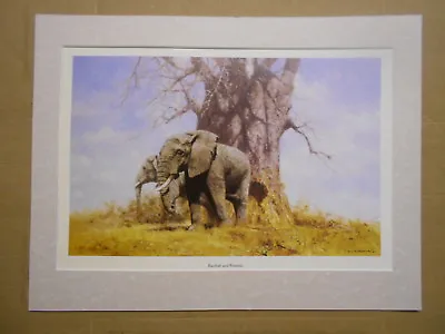 David Shepherd Print 'Baobab And Friends' Elephants UNFRAMED • £22