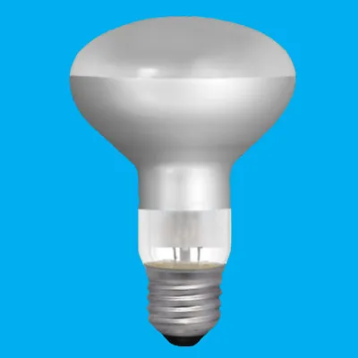 £8.69 • Buy 2x 100W R80 Reflector Incandescent Spot Light Bulb ES E27 Edison Screw Heat Lamp