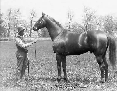 A Man O War With Horse Black And White 8x10 Photo Print • $4