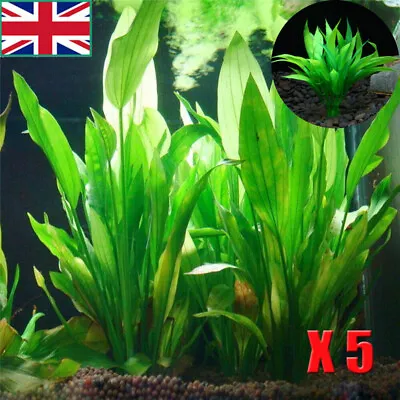 £6.79 • Buy Artificial Fake Plastic Water Grass Plants For Fish Tank Aquarium Ornament UK