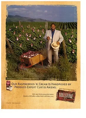 Millstone Coffee Raspberries N Cream Handpicked Vintage 1993 Print Ad • $9.57