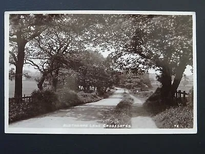 Yorkshire East Leeds CROSSGATES Austhorpe Lane - Old RP Postcard • £9.75