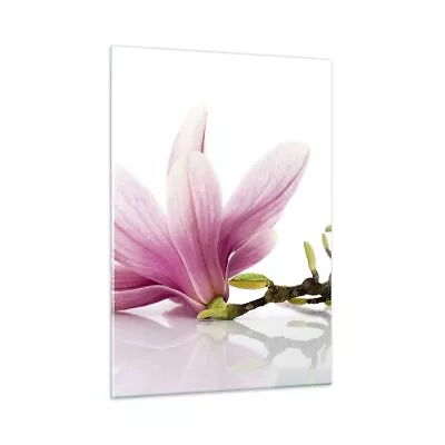 Glass Print 50x70cm Wall Art Picture Magnolia Flower Nature Plant Small Artwork • £77.99