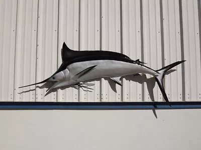 95  Black Marlin Half Mount Fish Replica - Quick Production • $480