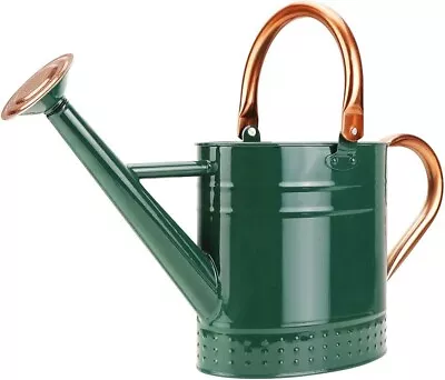 1 Gallon Metal Watering Can With Removable Spout Nice Galvanized Steel Water Can • $32.99