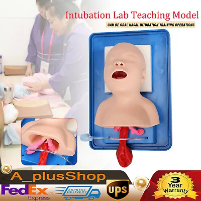 Intubation Lab Teaching Model Airway Management Trainer Aid Oral Nasal Manikin • $70.30