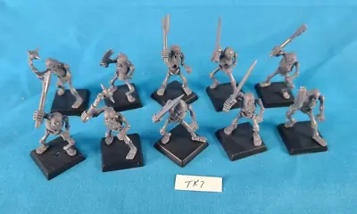 Warhammer Age Of Sigmar Tomb Kings Skeleton Warriors • $17.95