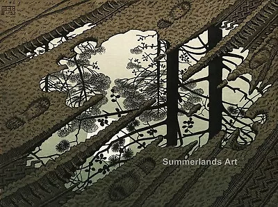 £26.99 • Buy MC Escher Puddle Giclee Fine Art Print Paper Or Canvas Large Various Size