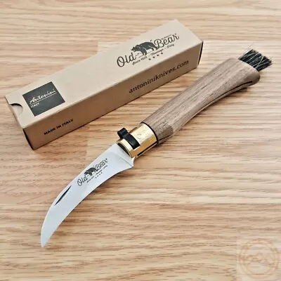 Old Bear Mushroom Folding Knife 2.75  420 Steel Blade Walnut Handle 938719LN • $29.19