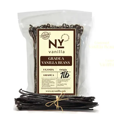 Fresh Organic Vanilla Beans Grade A - 6'- 8' Bulk Vanilla  - Free Shipping. • $13.99
