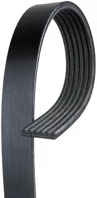 Serpentine Belt-Standard ACDelco Pro 6K675 • $49.65