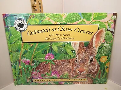 Cottontail At Clover Crescent / By C. Drew Lamm • $16.20