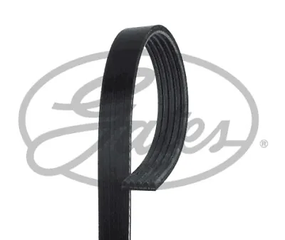 5PK803 GATES V-Ribbed Belt For ALFA ROMEOCITROËNNISSANPEUGEOTTOYOTA • $46.15