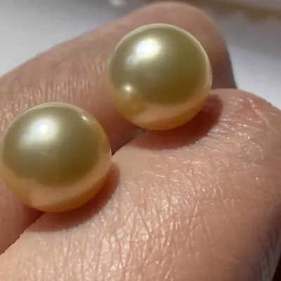 £299 • Buy 18k Yellow Gold Golden South Sea Pearl 10-11mm Perfect Round Earrings